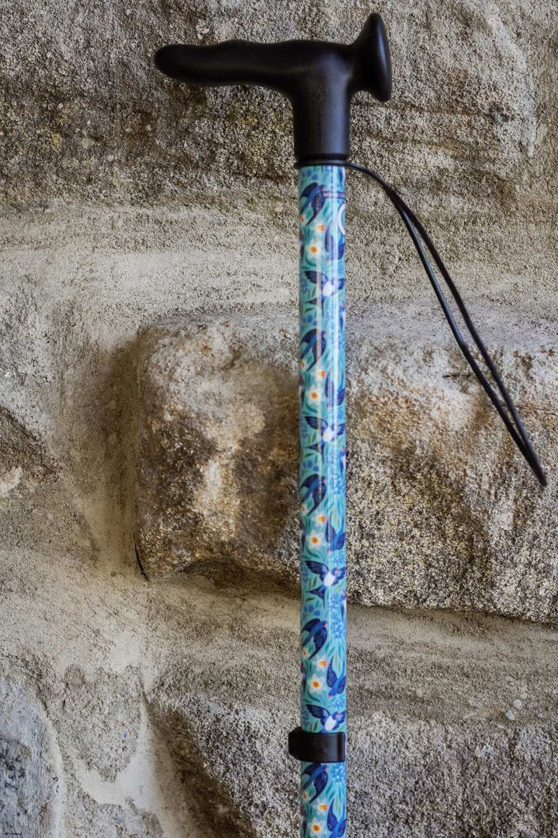 Wings of Spring Walking Stick