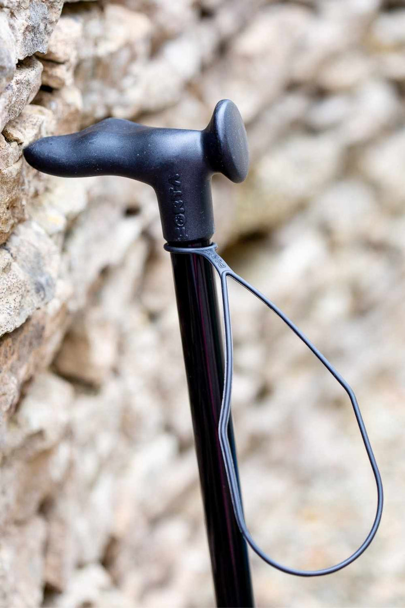 NEW Black Walking Stick
