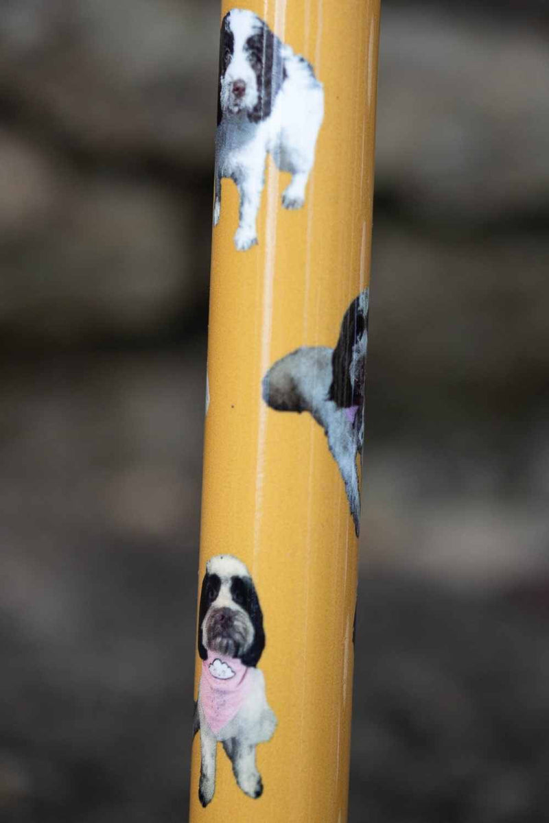 Bespoke Personalised Walking Sticks