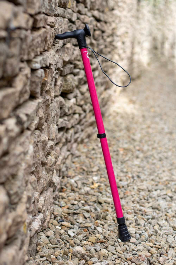 NEW Pink Walking Stick