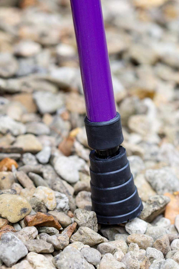 NEW Purple Walking Stick