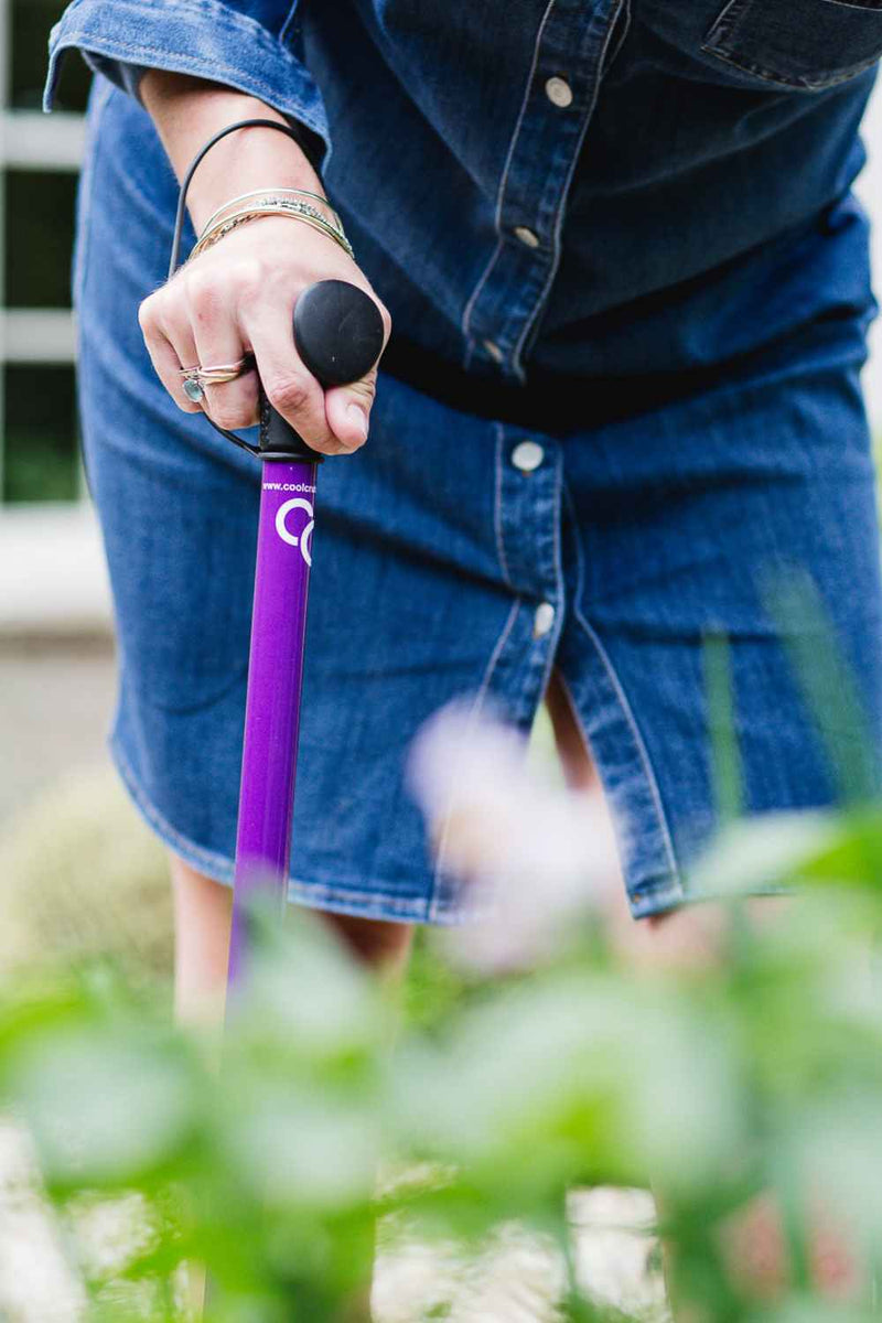 NEW Purple Walking Stick