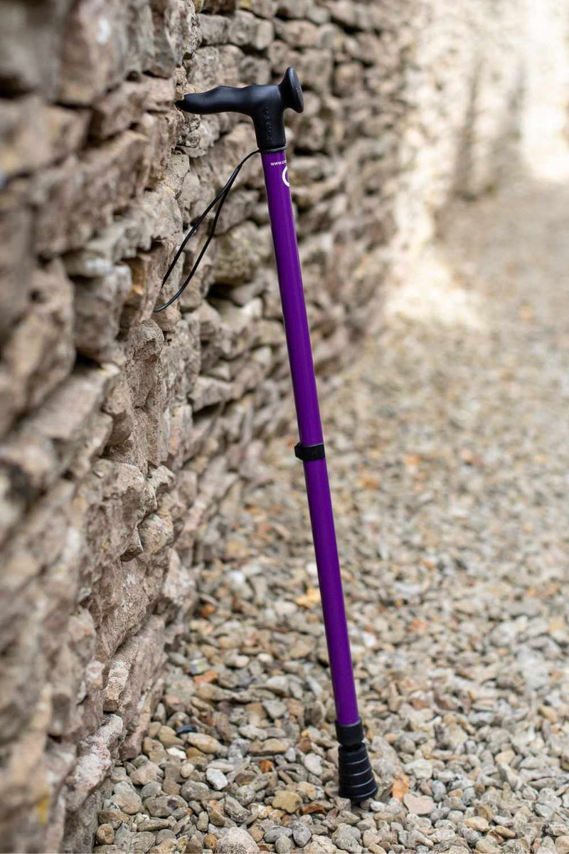 Purple Walking Stick-Walking Stick-Cool Crutches