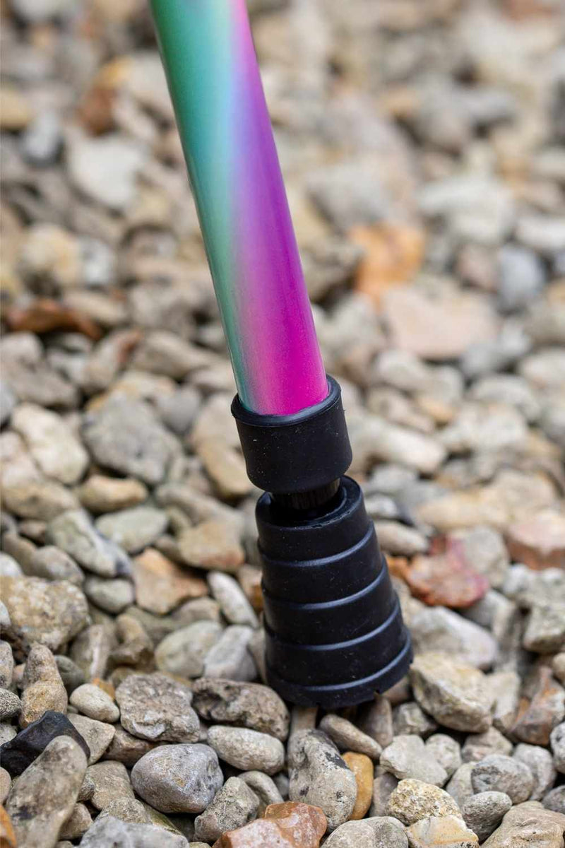 Rainbow Walking Stick