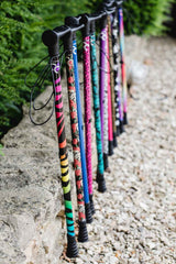 Rainbow Zebra Walking Stick