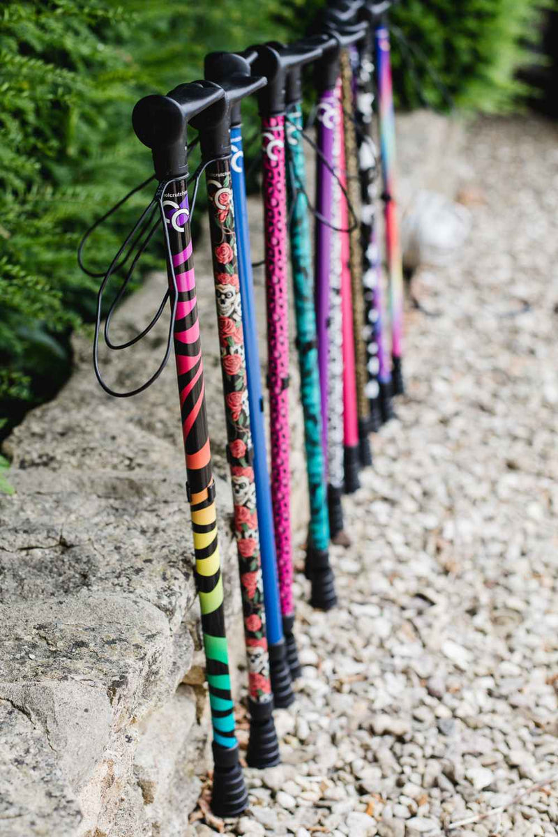 Rainbow Zebra Walking Stick