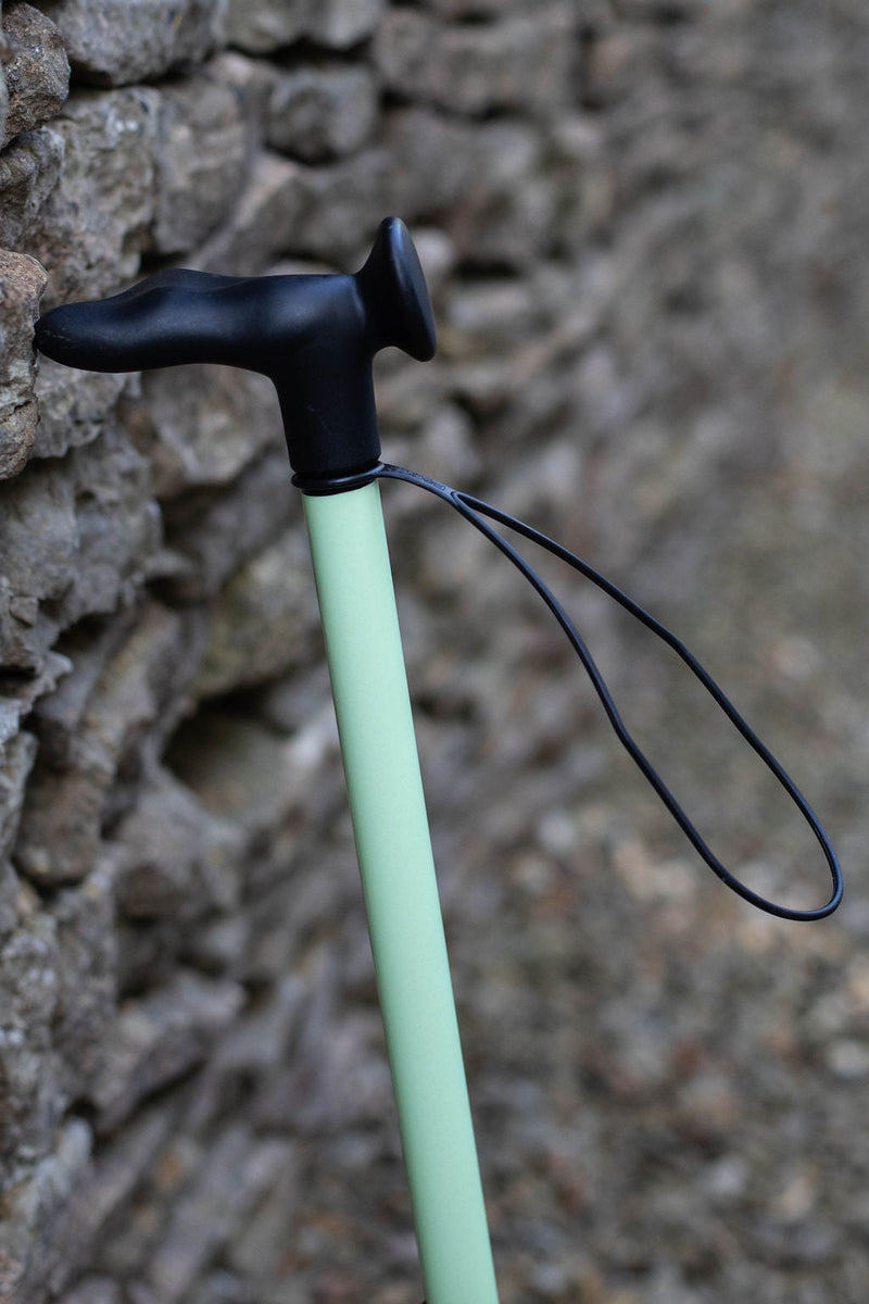 Glow-In-The-Dark Walking Stick